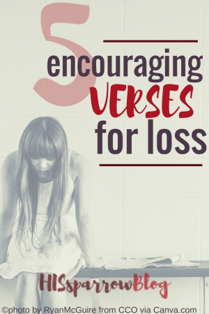 Read more about the article 5 Encouraging Verses for Loss