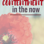 4 Simple Ways to Find Contentment in the Now
