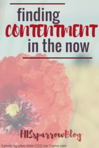 Read more about the article 4 Simple Ways to Find Contentment in the Now