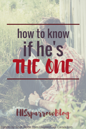How to Know if He's the One | HISsparrowBlog | christian living, mate, Valentine's Day