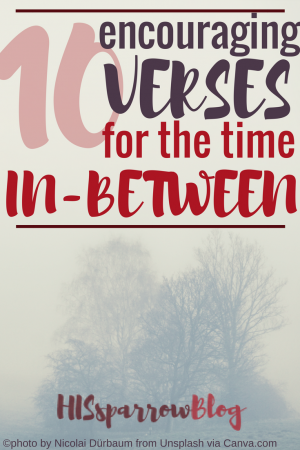 10 Encouraging Verses for the Time In-Between | HISsparrowBlog | Christian living, waiting