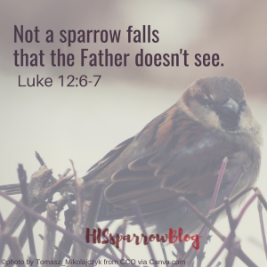 Not a sparrow falls that the Father doesn't see. Luke 12:6-7 | HISsparrowBlog
