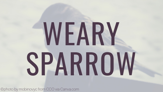 Weary Sparrow
