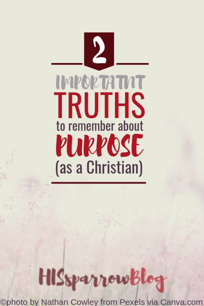 Finding Purpose: 2 Important Truths to Remember as a Christian | HISsparrowBlog | christian living