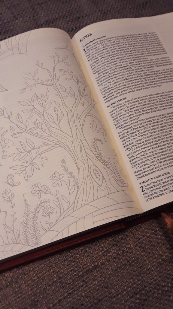 The Illustrator's Note-Taking Bible (HCSB) page