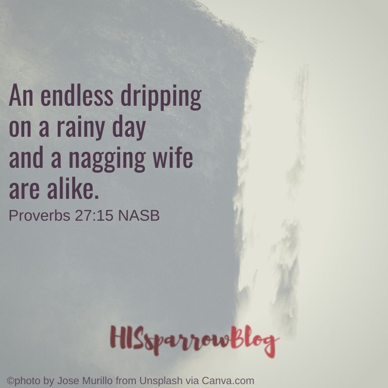 An endless dripping on a rainy day and a nagging wife are alike. Proverbs 27:15 NASB