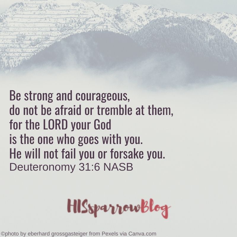 Be strong and courageous, do not be afraid or tremble at them, for the LORD your God is the one who goes with you. He will not fail you or forsake you. Deuteronomy 31:6 NASB | HISsparrowBlog
