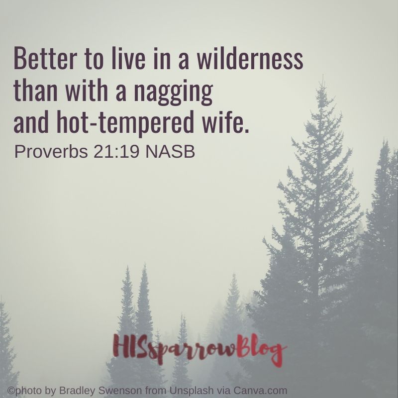 Better to live in a wilderness than with a nagging and hot-tempered wife. Proverbs 21:19 NASB