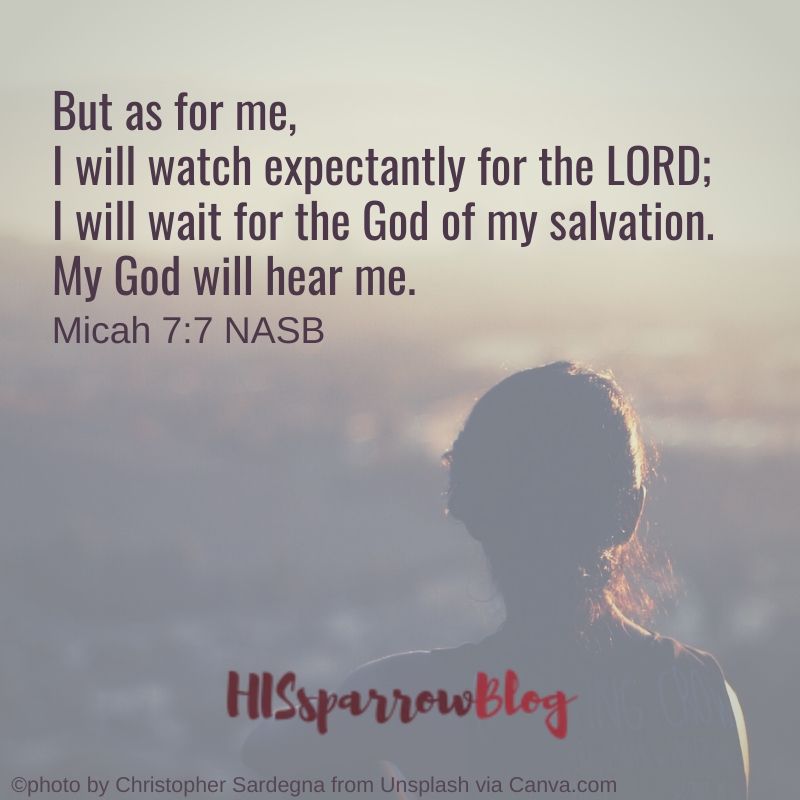 But as for me, I will watch expectantly for the LORD; I will wait for the God of my salvation. My God will hear me. Micah 7:7 NASB | HISsparrowBlog 