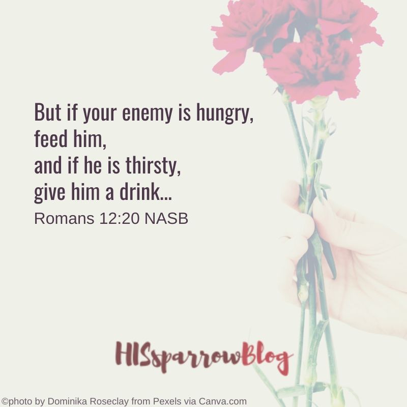 But if your enemy is hungry, feed him, and if he is thirsty, give him a drink... Romans 12:20 NASB | HISsparrowBlog 