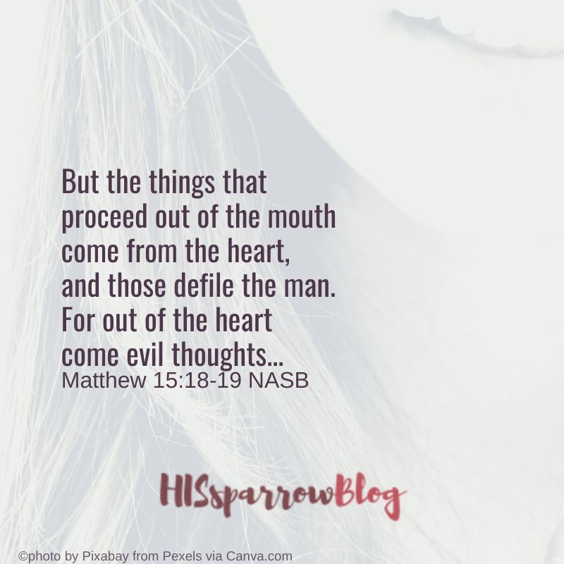But the things that proceed out of the mouth come from the heart, and those defile the man. For out of the heart come evil thoughts... Matthew 15_18-19 NASB | HISsparrowBlog 