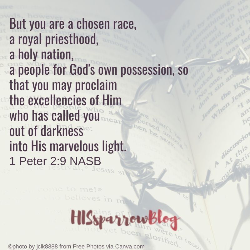 But you are chosen race, a royal priesthood, a holy nation, a people of God's own possession, so that you may proclaim the excellencies of Him who has called you out of darkness into His marvelous light. 1 Peter 2:9 NASB