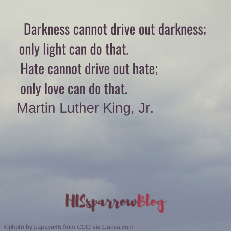 Darkness cannot drive out darkness; only light can do that. Hate cannot drive out hate; only love can do that. Martin Luther King, Jr.
