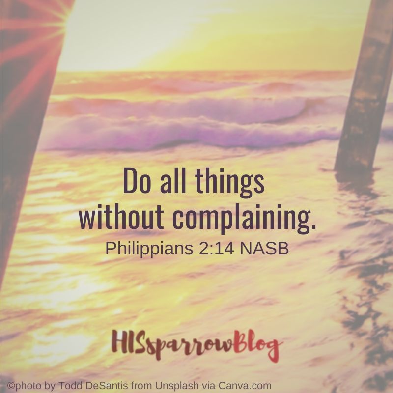 Do all things without complaining. Philippians 2:14 NASB