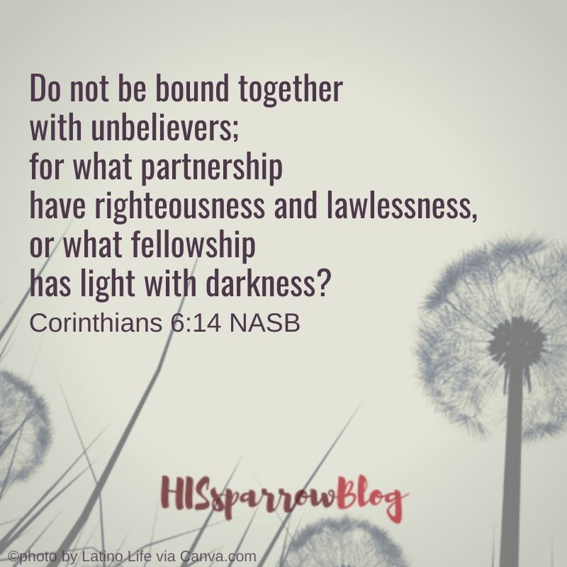 Do not be bound together with unbelievers; for what partnership have righteousness and lawlessness, or what fellowship has light with darkness? 2 Corinthians 6:14 NASB