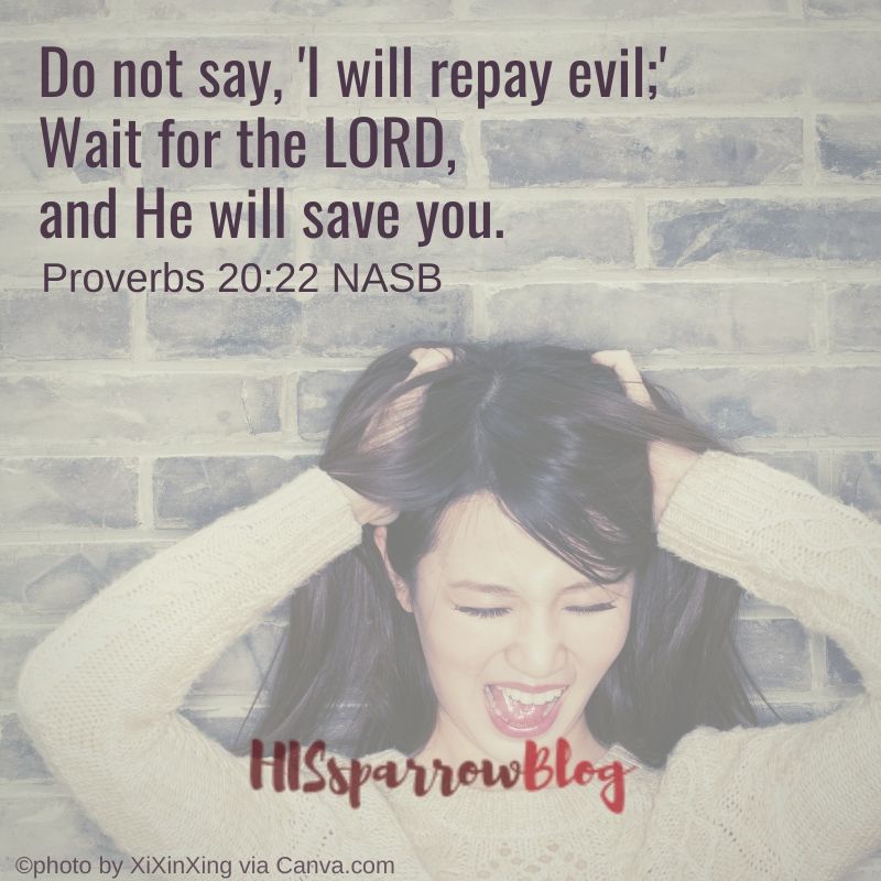 Do not say, 'I will repay evil;' Wait for the LORD, and He will save you. Proverbs 20:22 NASB | HISsparrowBlog 