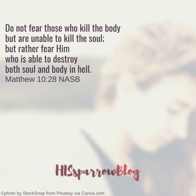 Do not fear those who kill the body but are unable to kill the soul; but rather fear Him who is able to destroy both soul and body in hell. Matthew 10:28 NASB | HISsparrowBlog