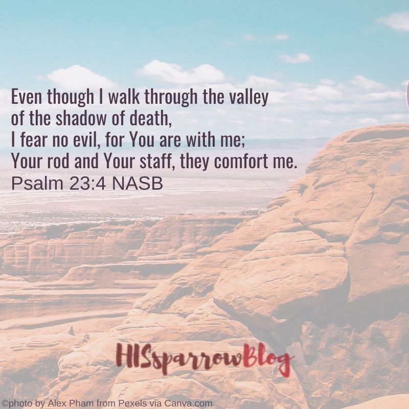 Even though I walk through the valley of the shadow of death, I fear no evil, for You are with me; Your rod and Your staff, they comfort me. Psalm 23:4 NASB | HISsparrowBlog