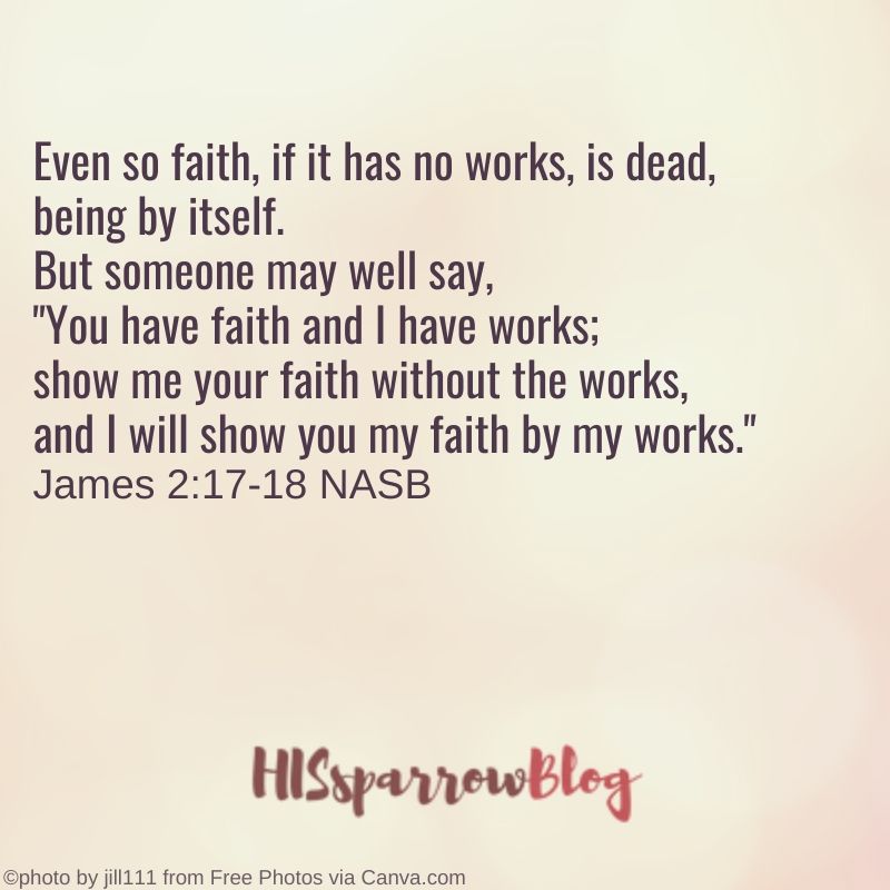 Faith by itself, if it is not accompanied by action, is dead. But someone will say, "You have faith; I have deeds." Show me your faith without deeds, and I will show you my faith by my deeds. James 2:17-18 NASB | HISsparrowBlog | christian living