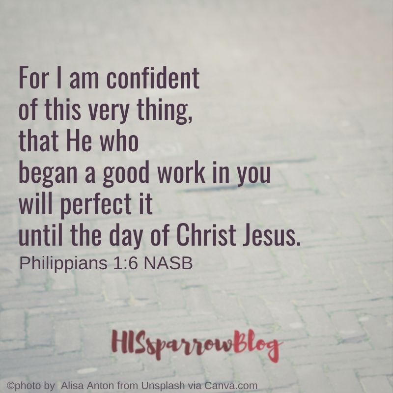 For I am confident of this very thing, that He who began a good work in you will perfect it until the day of Christ Jesus. Philippians 1:6 NASB | HISsparrowBlog