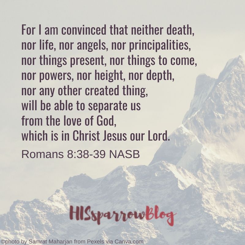 For I am convinced that neither death, nor life, nor angels, nor principalities, nor things present, nor things to come, nor powers, nor height, nor depth, nor any other created thing, will be able to separate us from the love of God, which is Christ Jesus our Lord. Romans 8:38-39 NASB
