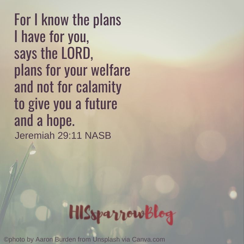 For I know the plans I have for you, says the LORD, plans for your welfare and not for calamity to give you a future and a hope. Jeremiah 29:11 NASB | HISsparrowBlog