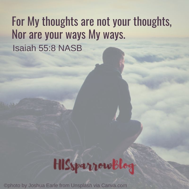 For My thoughts are not your thoughts, Nor are your ways My ways. Isaiah 55:8 NASB | HISsparrowBlog 