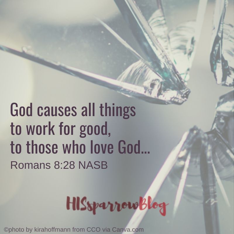 God causes all things to work for good, to those who love God... Romans 8:28 | HISsparrowBlog