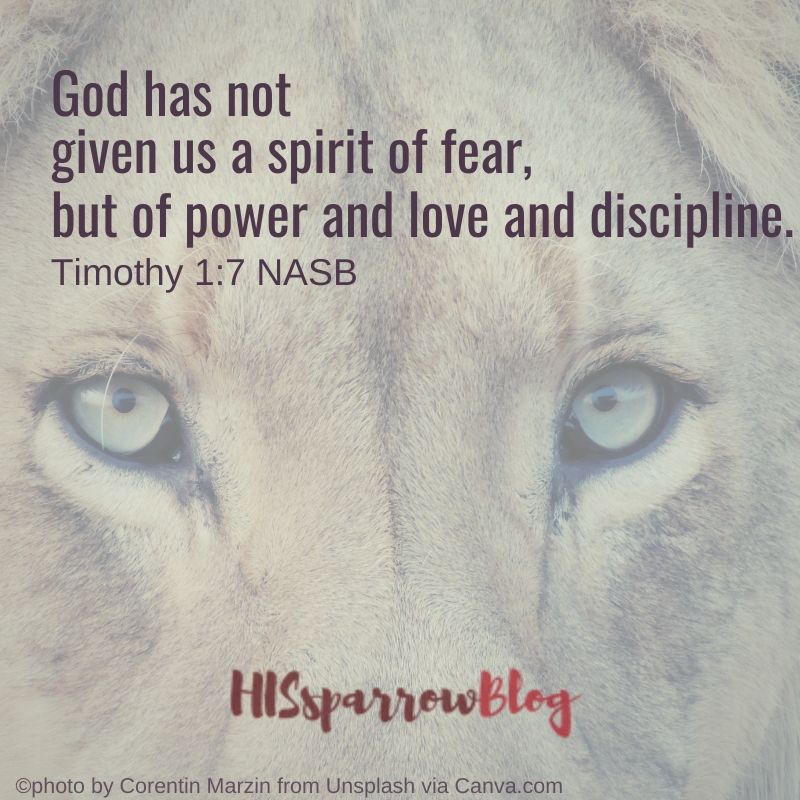 God has not given us a spirit of fear, but of power and love and discipline. 2 Timothy 1_7 NASB _ HISsparrowBlog _ #Christian living, #quotes, #scripture
