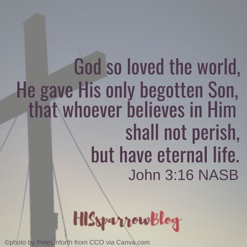 God so loved the world, He gave His only begotten Son, that whoever believes in Him shall not perish, but have eternal life. John 3_16 | HISsparrowBlog