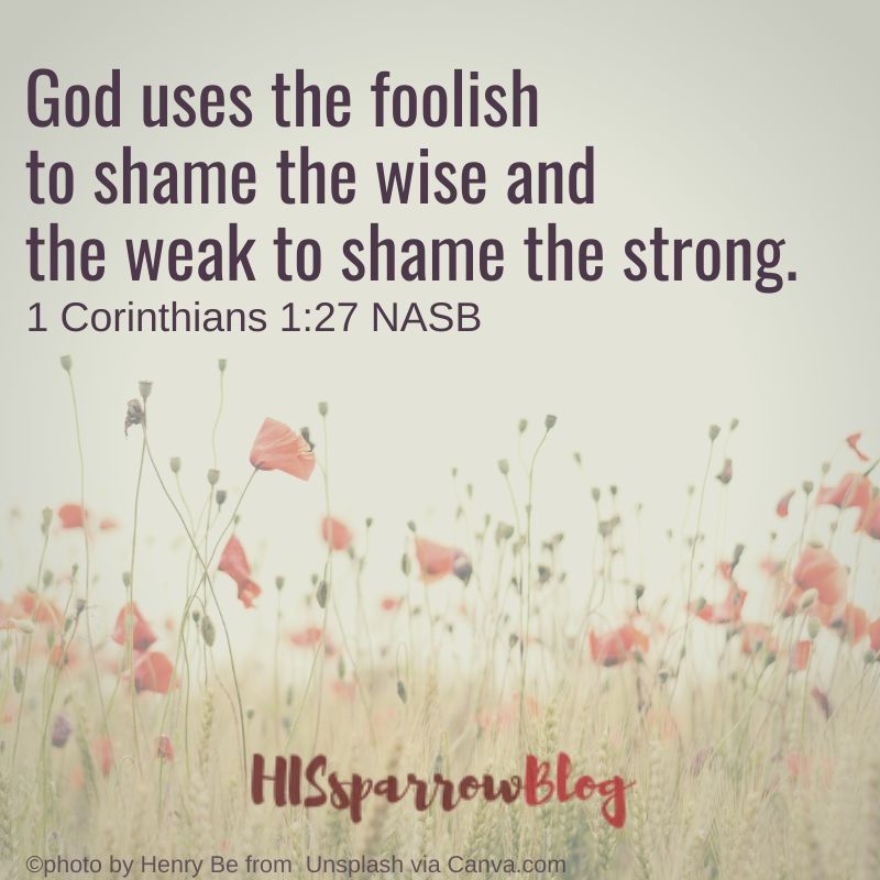 God uses the foolish to shame the wise and the weak to shame the strong. 1 Corinthians 1:27 NASB