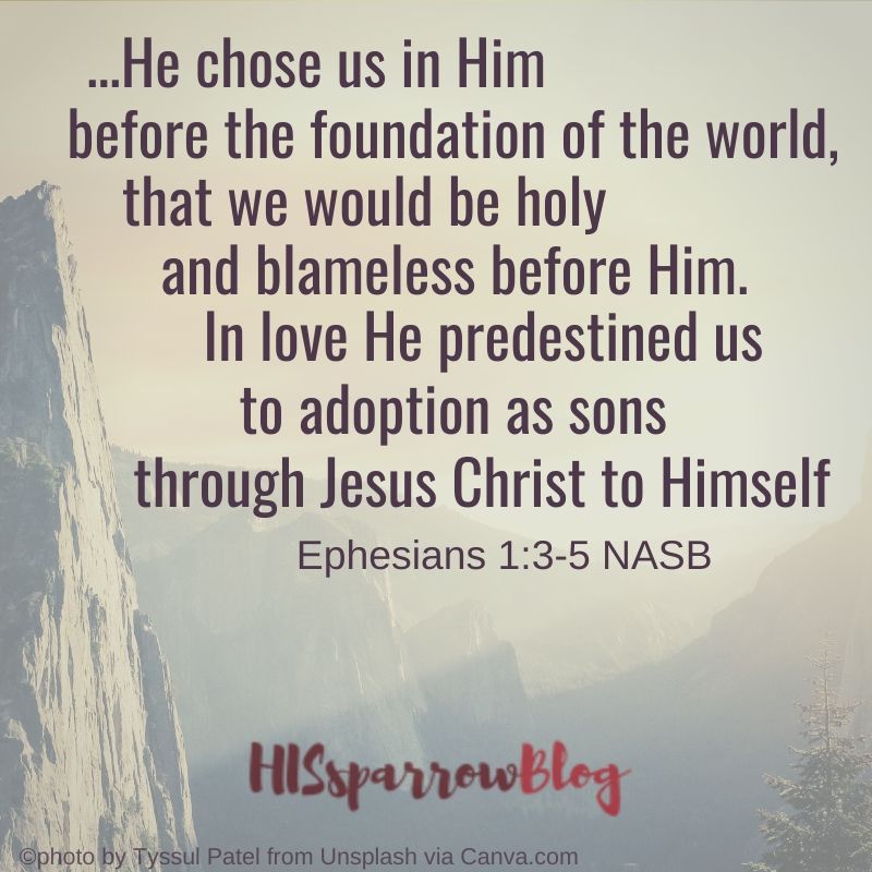 ...He chose us in Him before the foundation of the world, that we would be holy and blameless before Him. In love He predestined us to adoption as sons through Jesus Christ to Himself. Ephesians 1:3-5 NASB