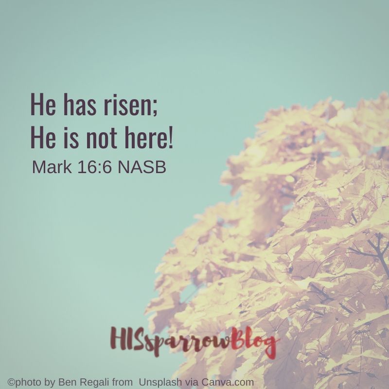 He has risen; He is not here! Mark 16:6 NASB