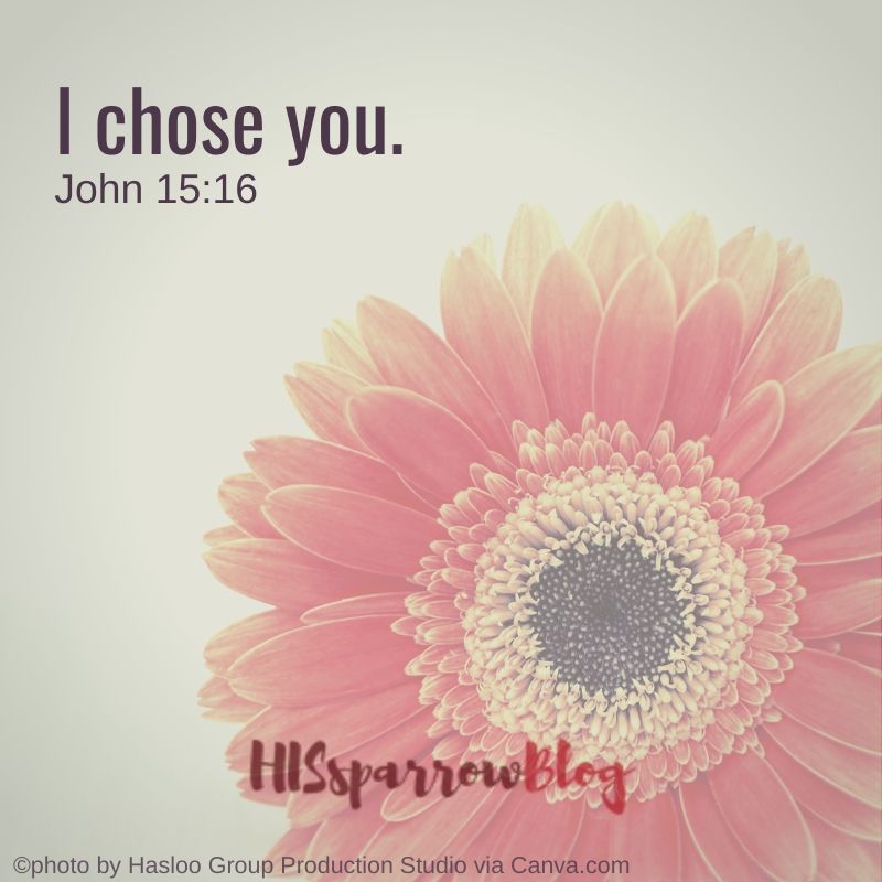 I chose you. John 15:16