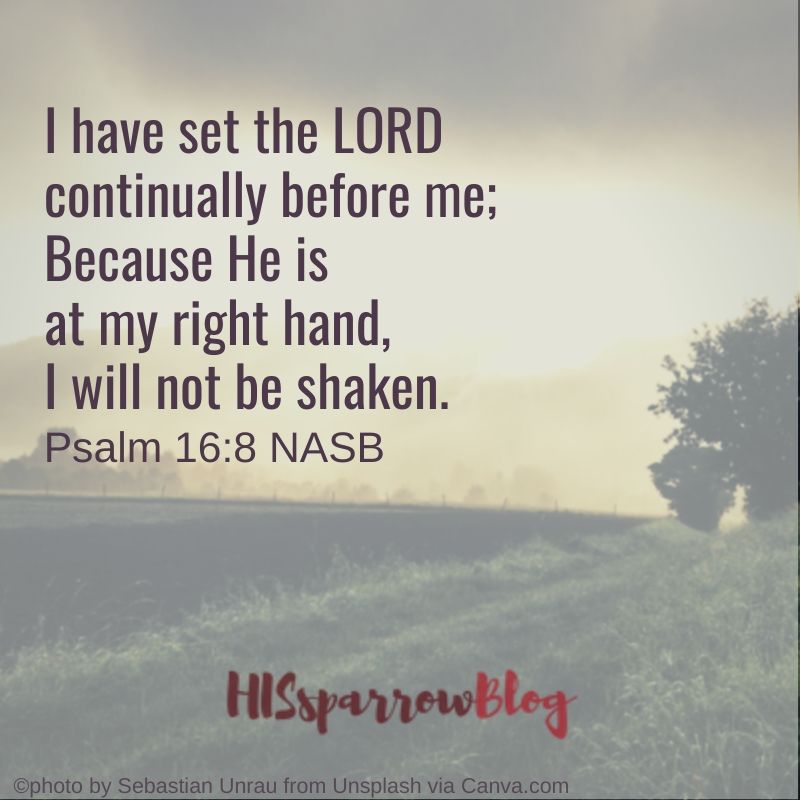 I have set the LORD continually before me; Because He is at my right hand, I will not be shaken. Psalm 16:8 NASB | HISsparrowBlog