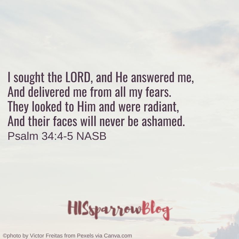 I sought the LORD, and he answered me; he delivered me from all my fears. Those who look to him are radiant; their faces are never covered with shame. Psalm 34:5 NASB | HISsparrowBlog | christian living
