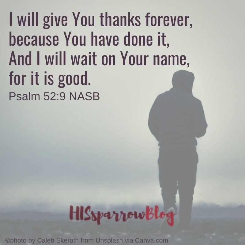 I will give You thanks forever, because You have done it, And I will wait on Your name, for it is good, in the presence of Your godly ones. Psalm 52:9 NASB | HISsparrowBlog 