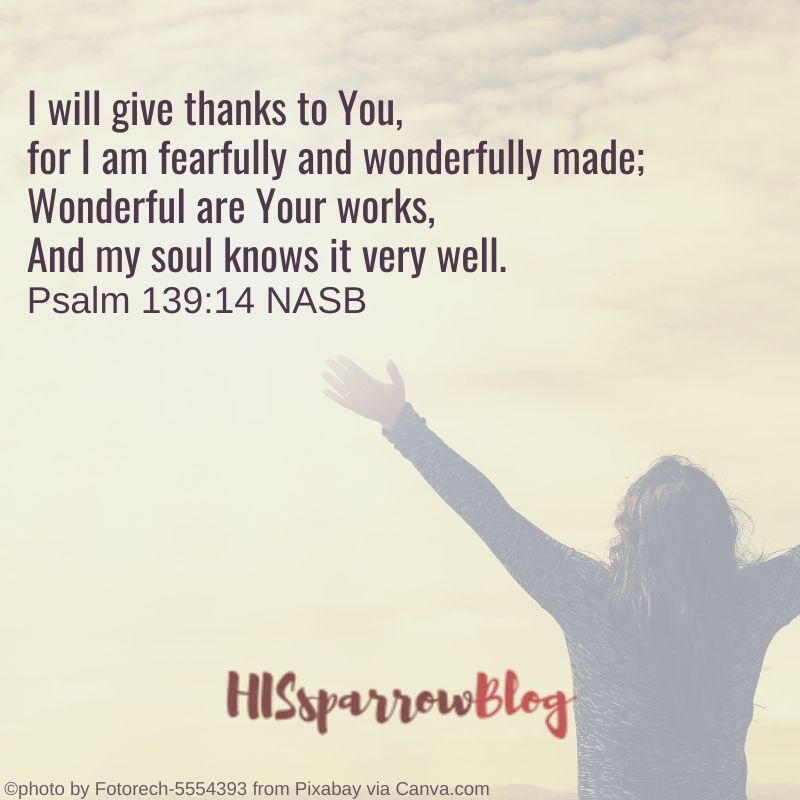 I will give thanks to You, for I am fearfully and wonderfully made; Wonderful are Your works, And my soul knows it very well. Psalm 139:14 NASB | HISsparrowBlog 