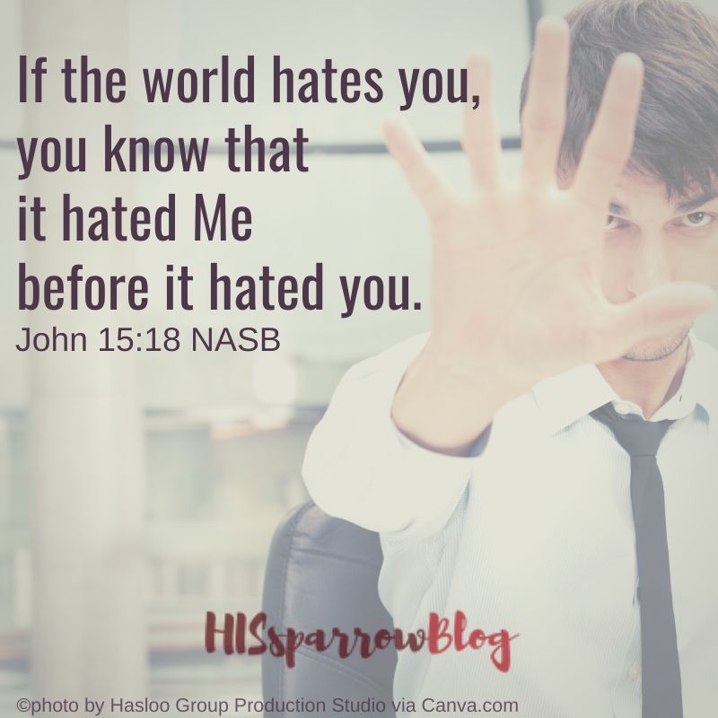 If the world hates you, you know that it hated Me before it hated you. John 15:18 NASB