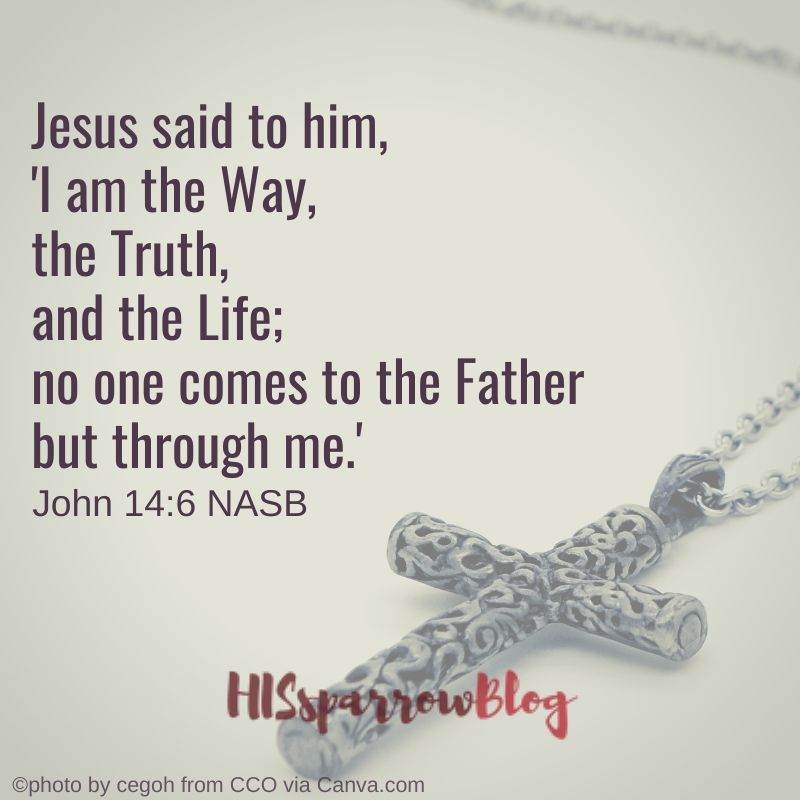 Jesus said to him, 'I am the Way, the Truth, and the Life; no one comes to the Father but through me.' John 14:6 NASB