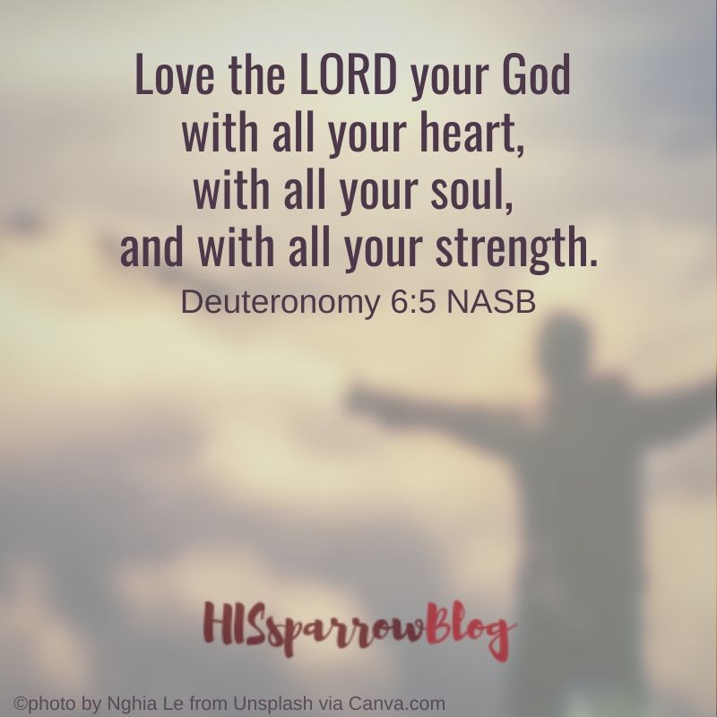 Love the LORD your God with all your heart, with all your soul, and with all your strength. Deuteronomy 6:5 NASB | HISsparrowBlog | christian living
