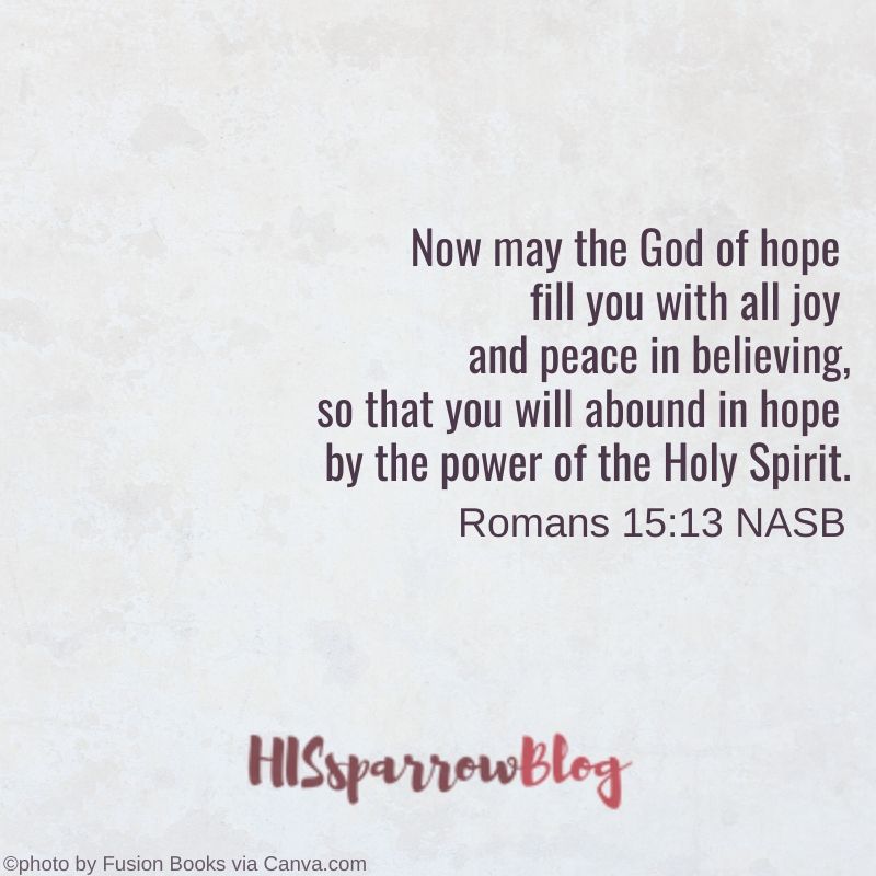 May the God of hope fill you with all joy and peace as you trust in him, so that you may overflow with hope by the power of the Holy Spirit. Romans 15:13 NASB | HISsparrowBlog | christian living