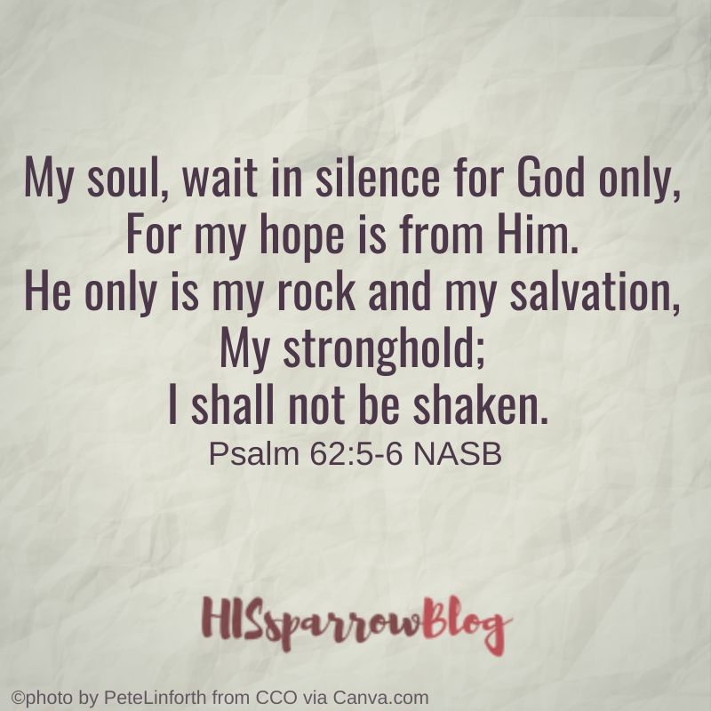 My soul, wait in silence for God only, For my hope is from Him. He only is my rock and my salvation, My stronghold; I shall not be shaken. Psalm 62:5-6 NASB | HISsparrowBlog 