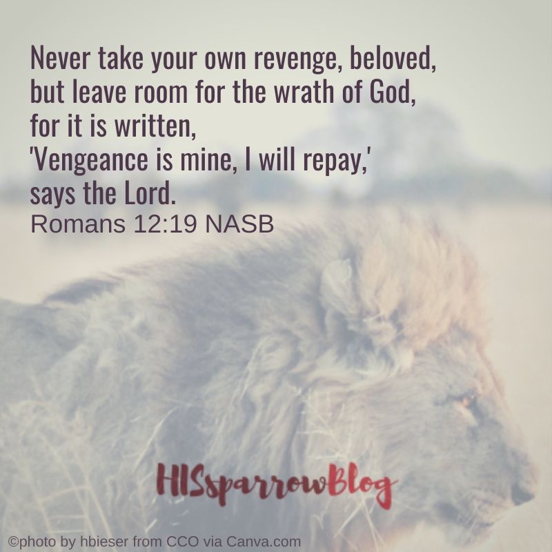 Never take your own revenge, beloved, but leave room for the wrath of God, for it is written, 'Vengeance is mine, I will repay,' says the Lord. Romans 12:19 NASB