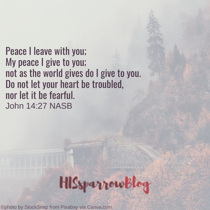 Peace I leave with you; My peace I give to you; not as the world gives do I give to you. Do not let your heart be troubled, nor let it be fearful. John 14:27 NASB | HISsparrowBlog