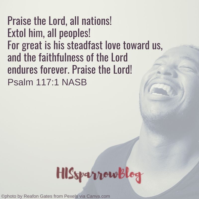 Praise the Lord, all nations! Extol him, all peoples! For great is his steadfast love toward us, and the faithfulness of the Lord endures forever. Praise the Lord! Psalm 117:1 NASB | HISsparrowBlog | christian living