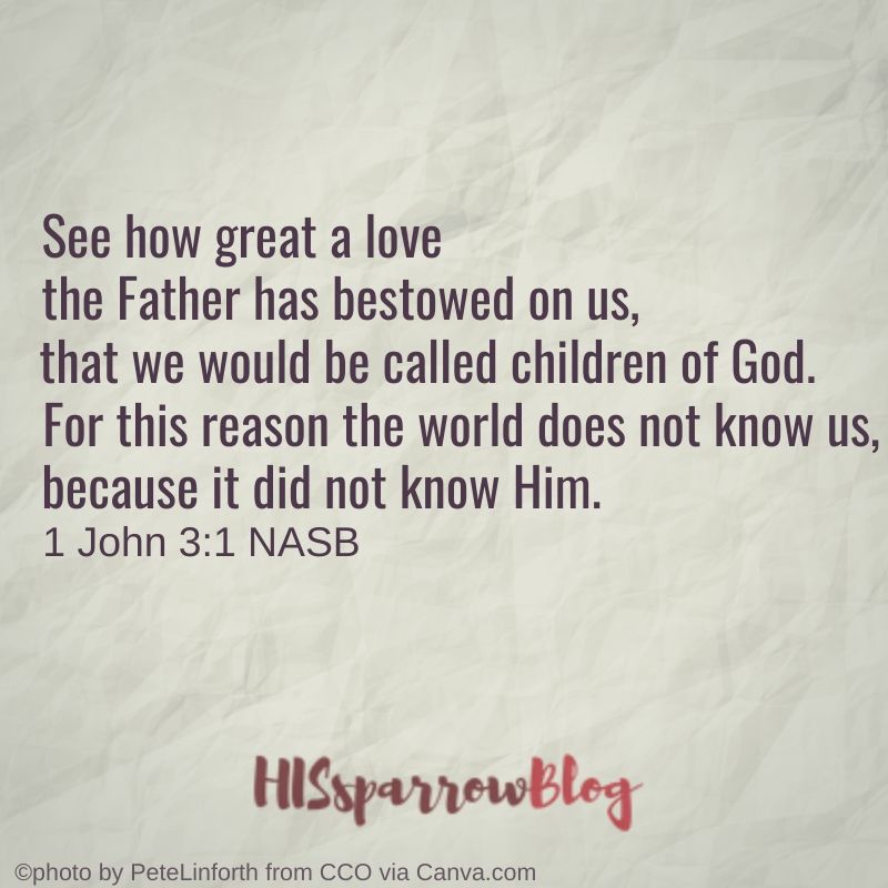 See how great a love the Father has bestowed on us, that we would be called children of God. For this reason the world does not know us, because it did not know Him. 1 John 3:1 NASB