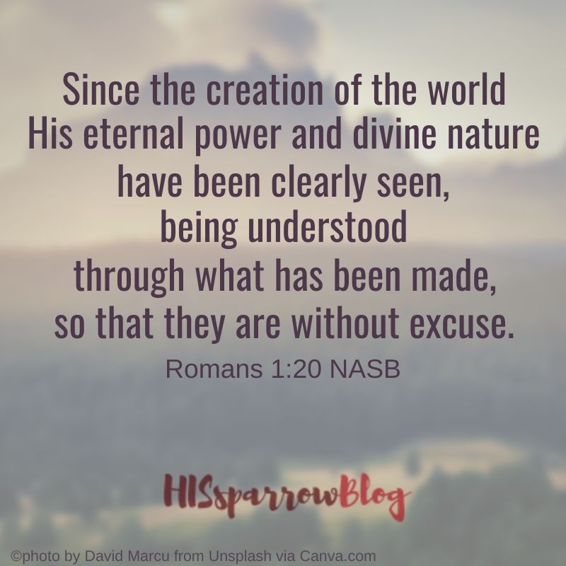 Since the creation of the world His eternal power and divine nature have been clearly seen, being understood through what has been made, so that they are without excuse. Romans 1:20 NASB