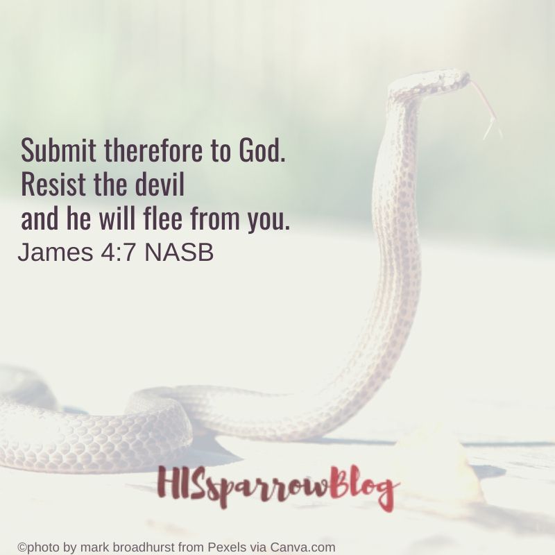 Submit therefore to God. Resist the devil and he will flee from you. James 4_7 NASB | HISsparrowBlog 