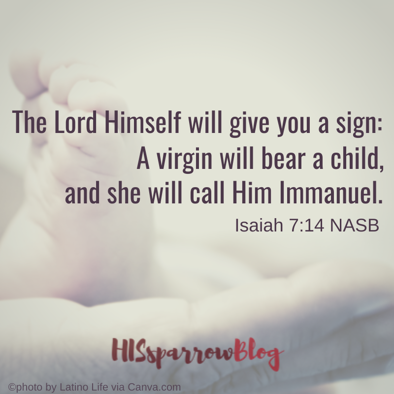 The Lord Himself will give you a sign: A virgin will bear a child, and she will call Him Immanuel. Isaiah 7:14 | HISsparrowBlog | #Christian living, #quotes, #scripture